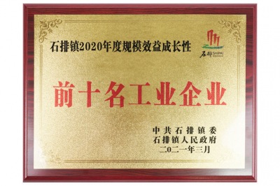 特姆優(yōu)傳動(dòng)—石排鎮2020年度規模效益成長(cháng)性前十名工業(yè)企業(yè)